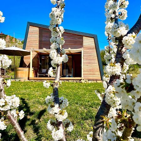 Maxi Sonce, Odprte Vasi Villa Prvacina Luaran gambar