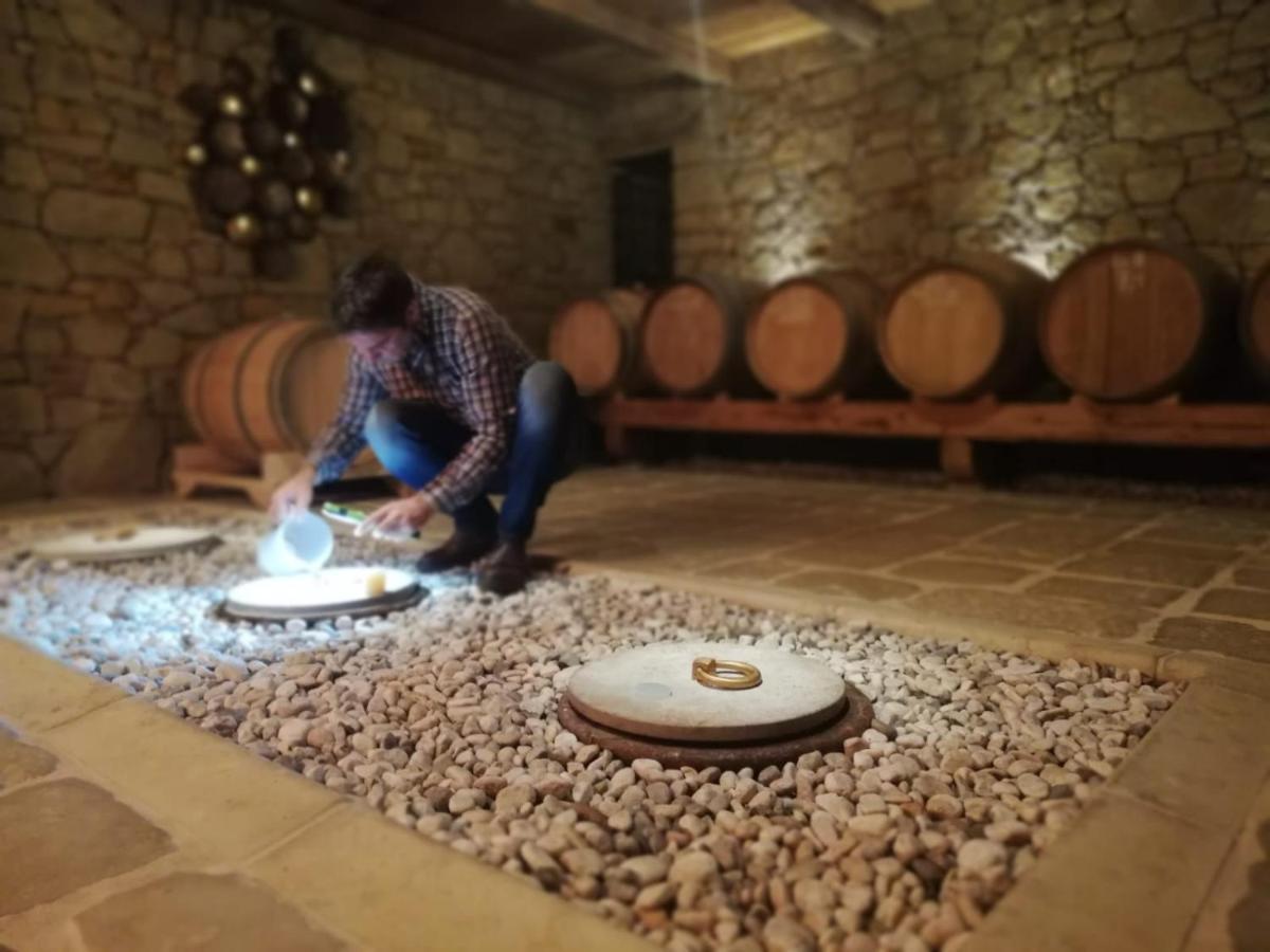 Maxi Sonce, Odprte Vasi Villa Prvacina Luaran gambar