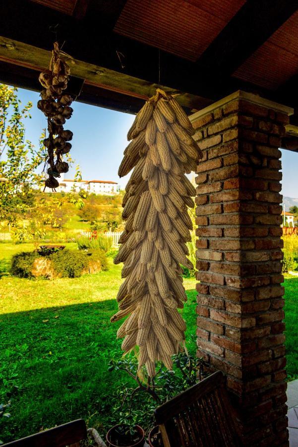 Maxi Sonce, Odprte Vasi Villa Prvacina Luaran gambar