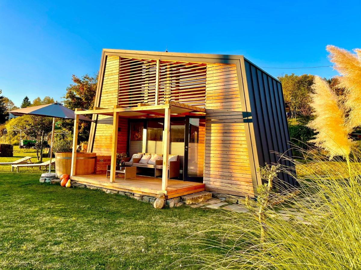 Maxi Sonce, Odprte Vasi Villa Prvacina Luaran gambar