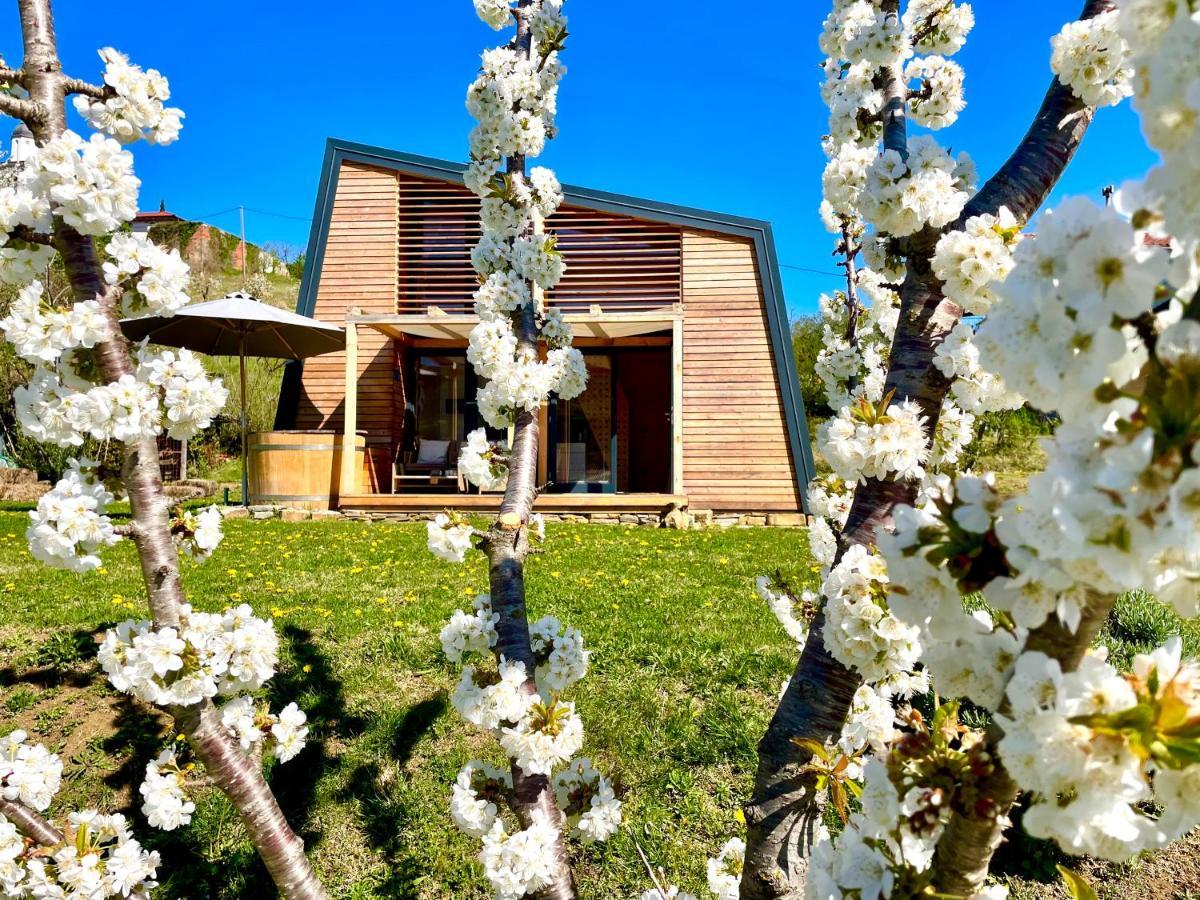 Maxi Sonce, Odprte Vasi Villa Prvacina Luaran gambar